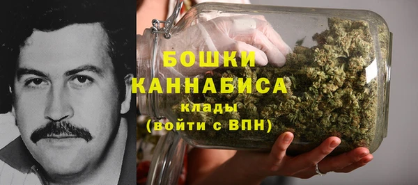 сатива Краснотурьинск