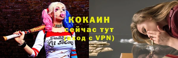 СК Краснослободск