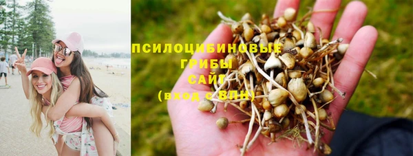 сатива Краснотурьинск