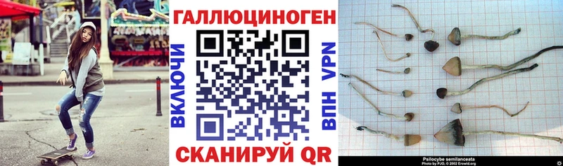 Галлюциногенные грибы GOLDEN TEACHER  Купить закладки  Бабушкин 